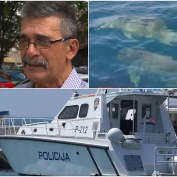 Građani zgroženi nakon pronalaska ubijenog dupina: 'Kakav prema životinjama, takav i prema ljudima'