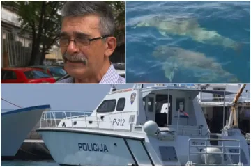 Građani zgroženi nakon pronalaska ubijenog dupina: 'Kakav prema životinjama, takav i prema ljudima'