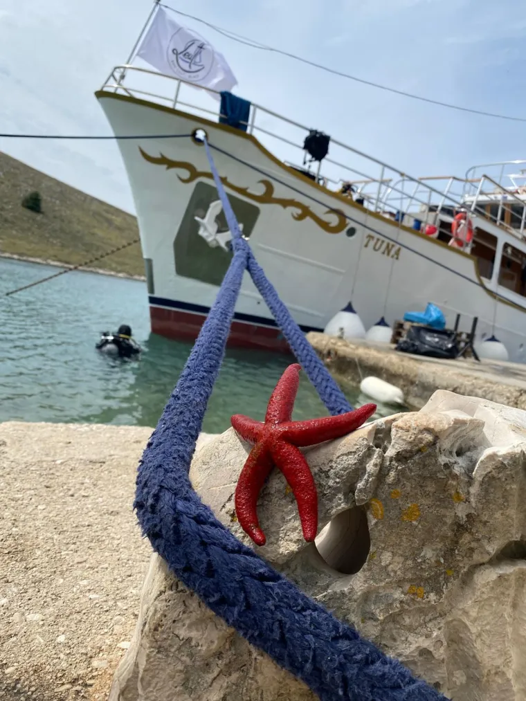 Zaronili u raj, prona&scaron;li 'groblje': Jadran krije tajnu koju mnogi ne žele da itko izvadi iz mora