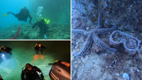 Zaronili u raj, prona&scaron;li 'groblje': Jadran krije tajnu koju mnogi ne žele da itko izvadi iz mora
