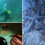 Zaronili u raj, prona&scaron;li 'groblje': Jadran krije tajnu koju mnogi ne žele da itko izvadi iz mora