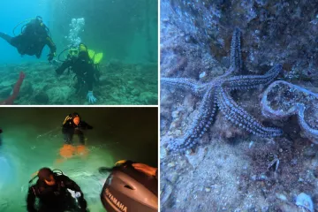 Zaronili u raj, prona&scaron;li 'groblje': Jadran krije tajnu koju mnogi ne žele da itko izvadi iz mora