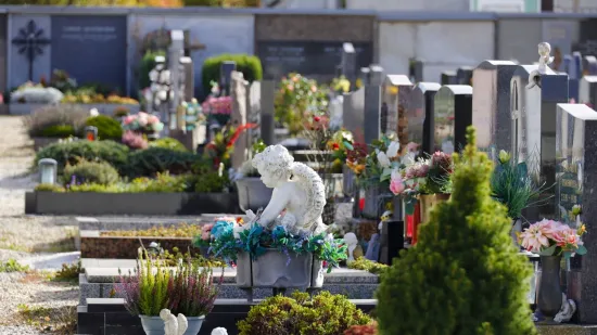 Otvaraju grobove i mrtvima vade zlatne zube: Broj pljački popeo se na 240