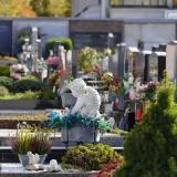 Otvaraju grobove i mrtvima vade zlatne zube: Broj pljački popeo se na 240