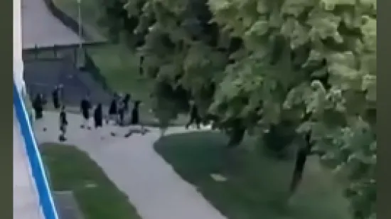 Pojavila se snimka izbjegnutog sukoba BBB-a i Torcide, ali u zadnji tren stigla je interventna