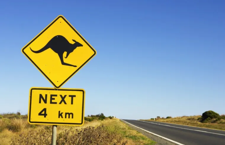 'Klokan vam može rasporiti čovjeka!' Hrvatica otkrila &scaron;to nikako ne smijete napraviti u Australiji