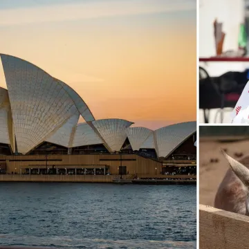 'Klokan vam može rasporiti čovjeka!' Hrvatica otkrila &scaron;to nikako ne smijete napraviti u Australiji