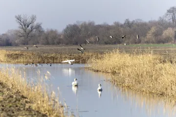 [KVIZ] Svi moraju imati barem četiri točna odgovora na pitanjima o PP Kopački rit