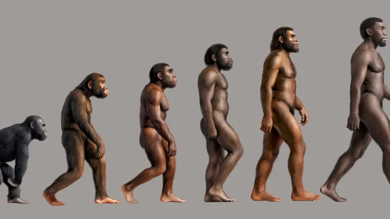 Pronađen zub koji odaje tajnu o neandertalcima: 'Nikada se nismo susreli s nečim sličnim'