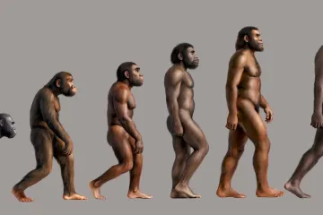 Pronađen zub koji odaje tajnu o neandertalcima: 'Nikada se nismo susreli s nečim sličnim'