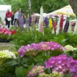 Bundek procvao u bojama: Počeo jedan od najljep&scaron;ih zagrebačkih festivala cvijeća