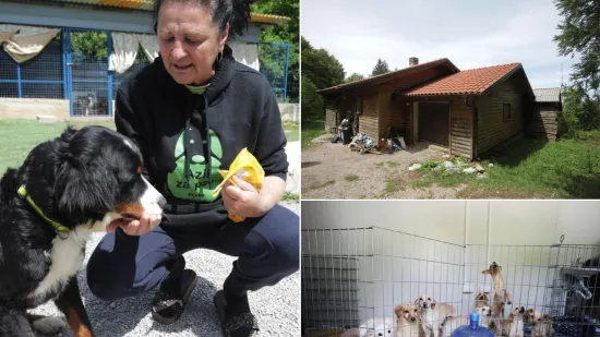 Kakvi prizori! Živjeli su u paklu, a sada su napokon spa&scaron;eni: Ovo je kuća koja je &scaron;okirala javnost