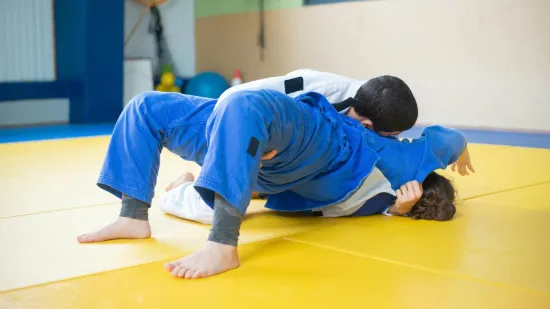 [KVIZ] Ovaj izazov o borilačkim sportovima nije lagan kao &scaron;to izgleda, zato dokaži znanje