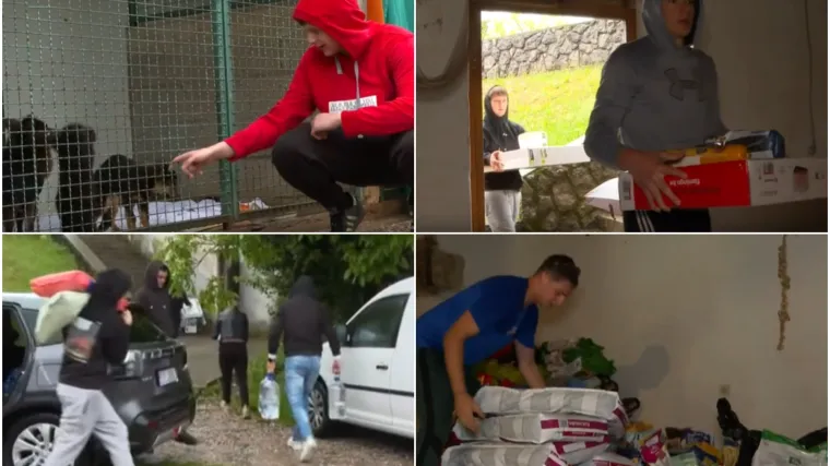Nakon otkrića kuće strave na Učki: U pomoć spa&scaron;enim psima uključili se i maturanti