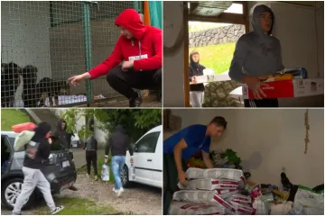 Nakon otkrića kuće strave na Učki: U pomoć spa&scaron;enim psima uključili se i maturanti