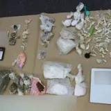 Dilera sreli na ulici, odmah im je ne&scaron;to 'zasmrdjelo': Ovo je sve policija prona&scaron;la u stanu u Novom Zagrebu
