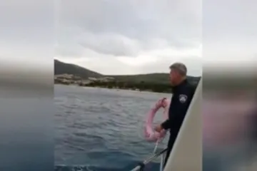 Kod Primo&scaron;tena spa&scaron;en Nijemac koji je satima plutao u moru: Evo &scaron;to je po&scaron;lo po zlu
