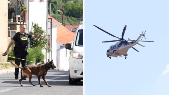Aleksić imao popis ljudi koje želi ubiti? 'Prijetio je prodavačicama, pisao osmrtnice'