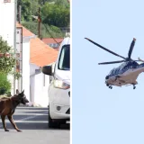 Aleksić imao popis ljudi koje želi ubiti? 'Prijetio je prodavačicama, pisao osmrtnice'