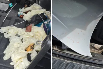 U ovom su autu prevezli tijelo ubijenog Ne&scaron;ovića? U njemu na&scaron;li tragove krvi, kiselinu i rukavice