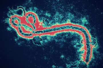 Smrtonosna bolest izaziva strah: 'Duboko sam zabrinut zbog &scaron;irenja epidemije'