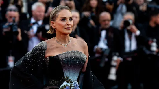 Sharon Stone izgubila živce u Cannesu i usred govora održala bukvicu eliti: 'Spustite te proklete telefone'