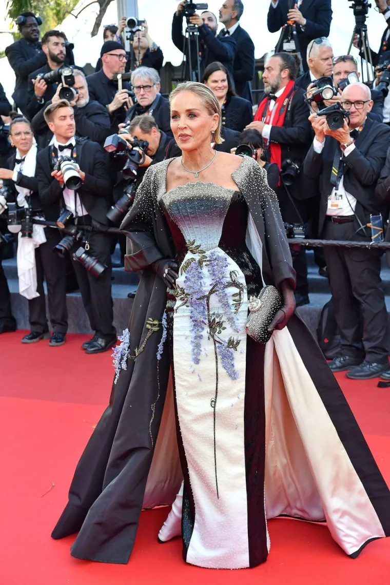 Sharon Stone izgubila živce u Cannesu i usred govora održala bukvicu eliti: 'Spustite te proklete telefone'