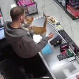 Maca ga svakog dana zagrli oko vrata zato da mu se zahvali &scaron;to joj je spasio život