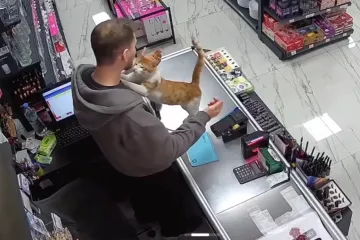 Maca ga svakog dana zagrli oko vrata zato da mu se zahvali &scaron;to joj je spasio život