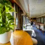 'Balkan Explorer' evocira duh legendarnog Orient Expressa: Avantura koju ćete sigurno pamtiti