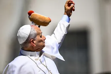 Papi Lavu doletio 'hot dog': Poku&scaron;ao ga je uhvatiti i nasmijao ljude
