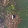 Nikad ne izgleda isto: Najveće jezero na Balkanu mijenja se s godi&scaron;njim dobima