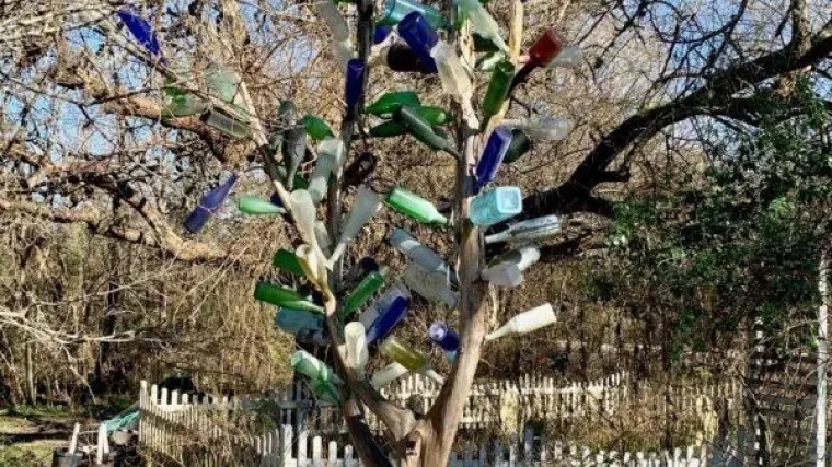 Znate li za&scaron;to neki postavljaju boce na grane drveća? Ovo će mnogima biti zanimljiva spoznaja