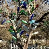 Znate li za&scaron;to neki postavljaju boce na grane drveća? Ovo će mnogima biti zanimljiva spoznaja