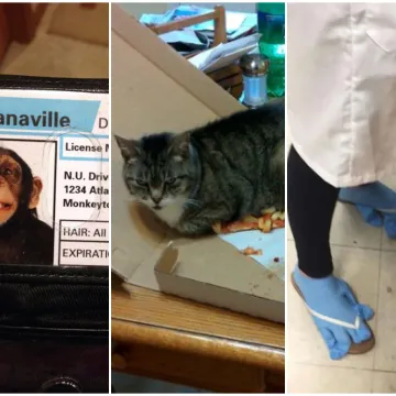 Ovi ljudi su zaboravili ne&scaron;to pa se suočili s kaotičnim posljedicama: Prizori su urnebesni