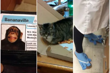Ovi ljudi su zaboravili ne&scaron;to pa se suočili s kaotičnim posljedicama: Prizori su urnebesni