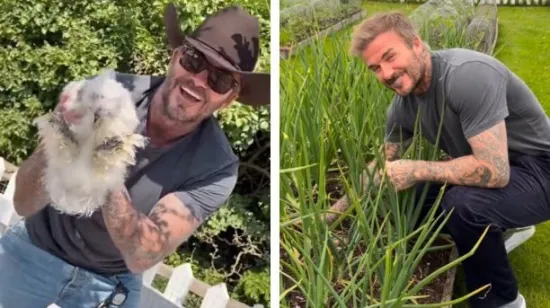 David Beckham obožava selo: Pogledajte kako vadi luk iz vrta, baca fore i mazi koko&scaron;i