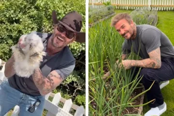 David Beckham obožava selo: Pogledajte kako vadi luk iz vrta, baca fore i mazi kokoši