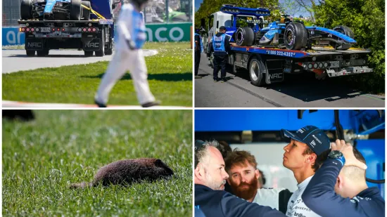 Ludilo! Redari u Kanadi imali pune ruke posla, a ljubitelj životinja skrivio bizaran incident