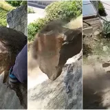 Pogledajte kakva je stijena prijetila pasti na &scaron;kolsko igrali&scaron;te! Snimili video