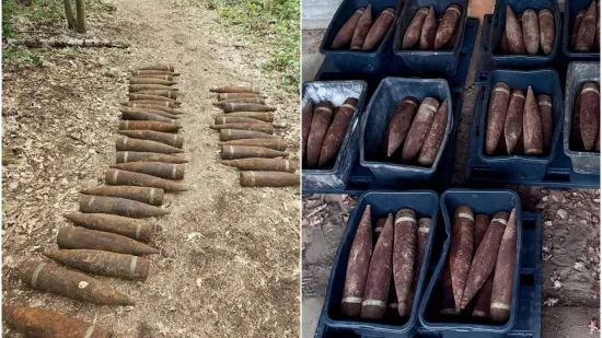 &Scaron;etao &scaron;umom, pa ostao u &scaron;oku: Misteriozno otkriće diglo njemačku policiju na noge