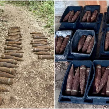 &Scaron;etao &scaron;umom, pa ostao u &scaron;oku: Misteriozno otkriće diglo njemačku policiju na noge