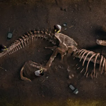 [KVIZ] Koliko si siguran u svoje znanje o dinosaurima?