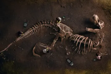 [KVIZ] Koliko si siguran u svoje znanje o dinosaurima?