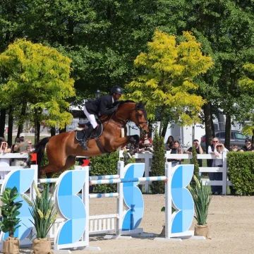 Grand Prix i utakmica Pehar Grada Zagreba: Natjecatelji iz vi&scaron;e od 15 europskih zemalja stižu na Hipodrom