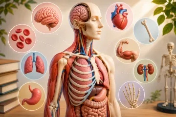Poku&scaron;aj imati sve točno na zahtjevnim pitanjima iz anatomije, ali pazi jer se lako poskliznuti
