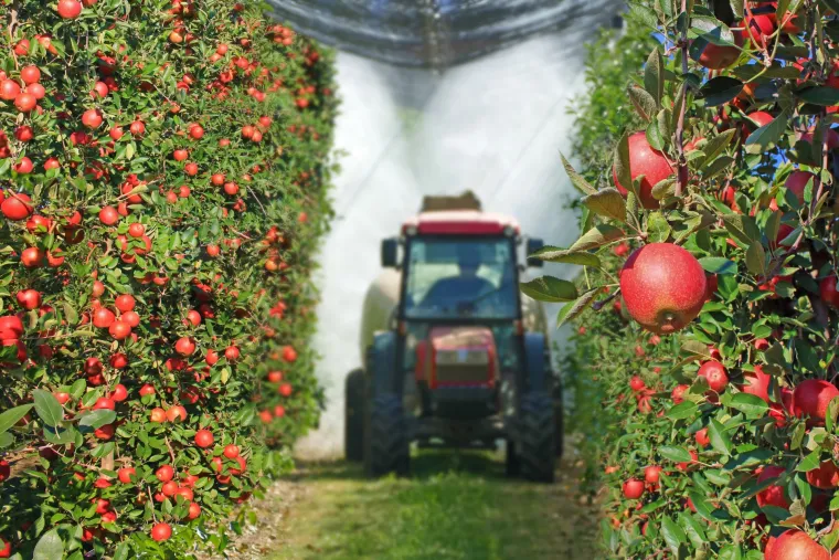 Pesticidi s crnog trži&scaron;ta zavr&scaron;avali na poljima: Otkrivamo koliko hrane pada na testovima