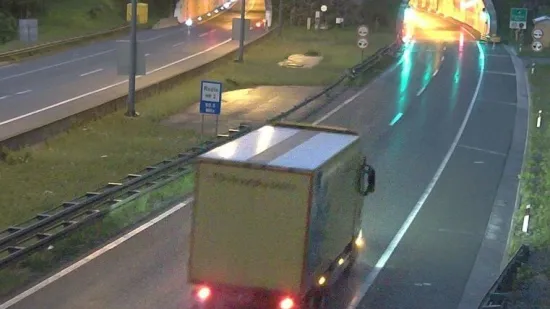 Na autocesti A6 viđen medvjed, oglasili se iz HAK-a: Evo gdje se vozi usporeno