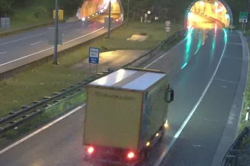 Na autocesti A6 viđen medvjed, oglasili se iz HAK-a: Evo gdje se vozi usporeno
