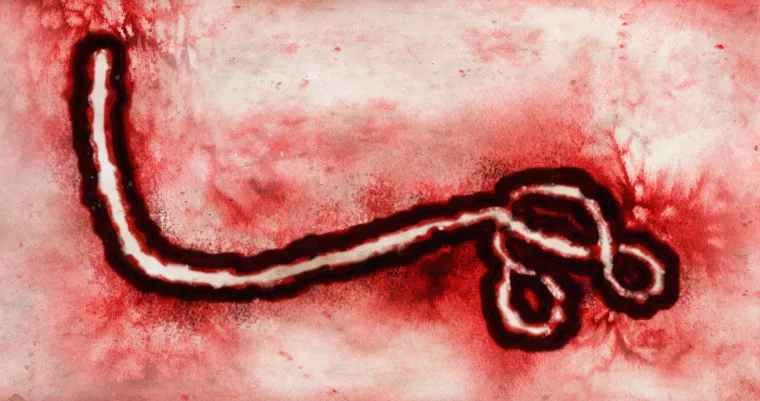 Nova prijetnja globalnom zdravlju: Sve &scaron;to trebate znati o povratku smrtonosnog virusa